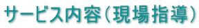 T[rXeiWCj 