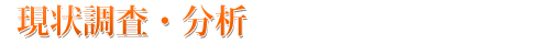 現状調査・分析