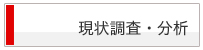 現状調査・分析