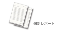 個別レポート